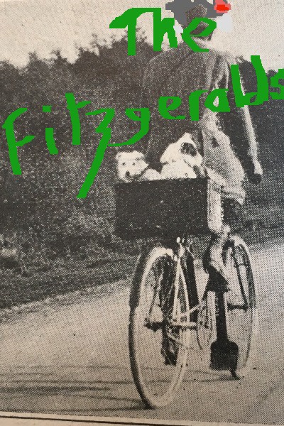 The Fitzgeralds