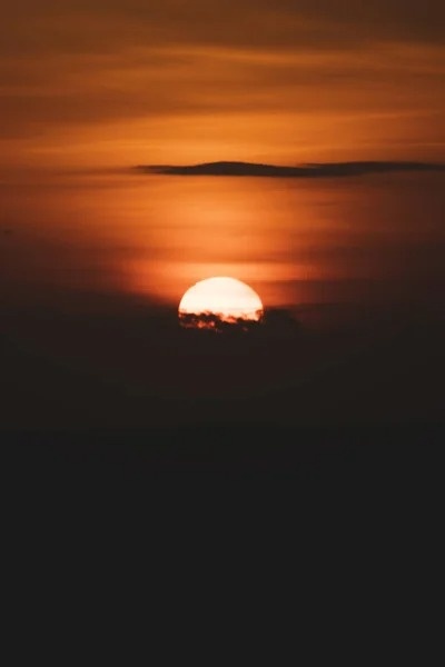 My New Life In A Wasteland