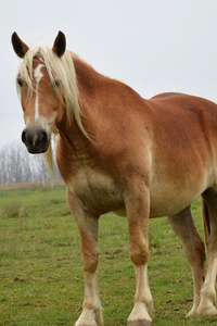 The First Thirty Days