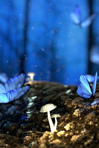 The Forest of Meralt