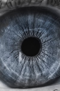 The Iridis Experiment