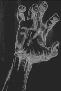 Fingertips
