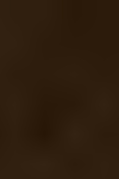 Evermore: Rise of the guardians