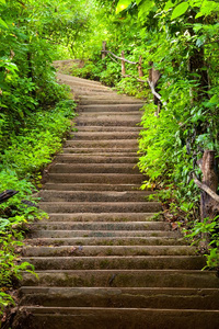 Accidentally a Shrine Priestess