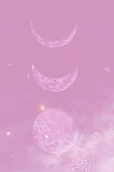 Path of Fairies (Pokemon OC)